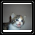 Avatar de caouecs